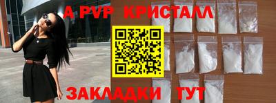 стафф Донской