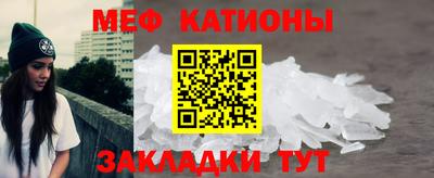 стафф Донской