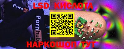 стафф Донской