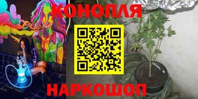 стафф Донской