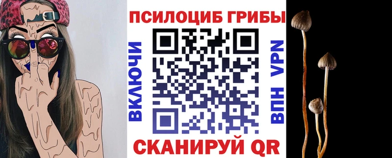 Галлюциногенные грибы GOLDEN TEACHER  Сатка 