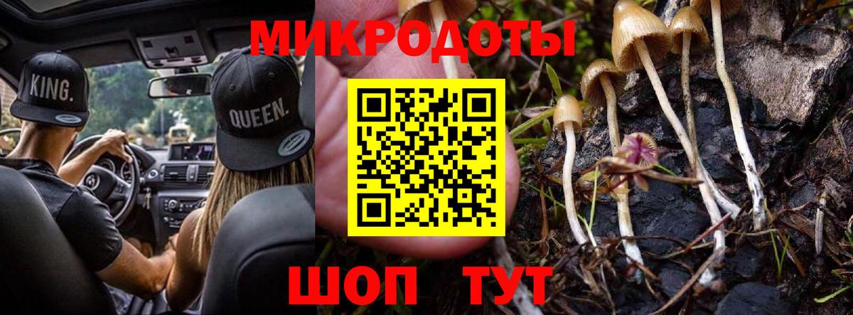 Псилоцибиновые грибы мицелий Сатка